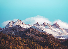 劳塔罗:欧冠决赛0-5输给大巴黎之后,我5天都没有说话